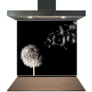 Kitchen stovetop with an artistic dandelion graphic appearing as steam being extracted by the range hood above, on a Kitchen Glass Splashback Toughened & Heat Resistant - Design No. 2002.