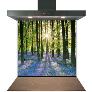 Kitchen range hood with a Kitchen Glass Splashback Toughened & Heat Resistant - Design No. 2011 featuring a forest image.