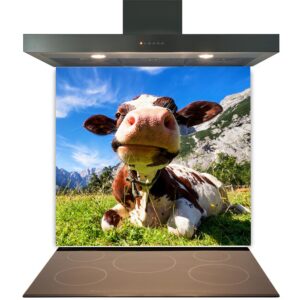 A Kitchen Glass Splashback Toughened & Heat Resistant - Design No. 2011 superimposed over an image of a cow lying in a grassy field with mountains in the background, creating an illusion that the cow is on the stove.