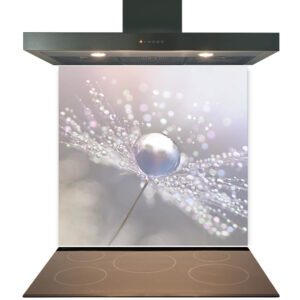A modern Kitchen Glass Splashback Toughened & Heat Resistant with a toughened glass cooktop and a stainless steel range hood displaying a close-up image of water droplets on a plant.