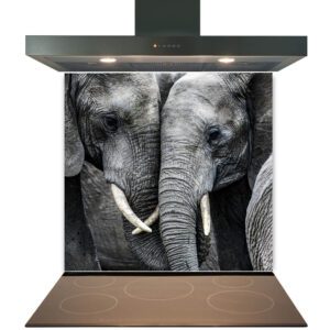 A kitchen stove with a Heat Resistant overhead exhaust hood displaying an image of two elephants on its facade and featuring a Kitchen Glass Splashback Toughened & Heat Resistant - Design No. 2031.