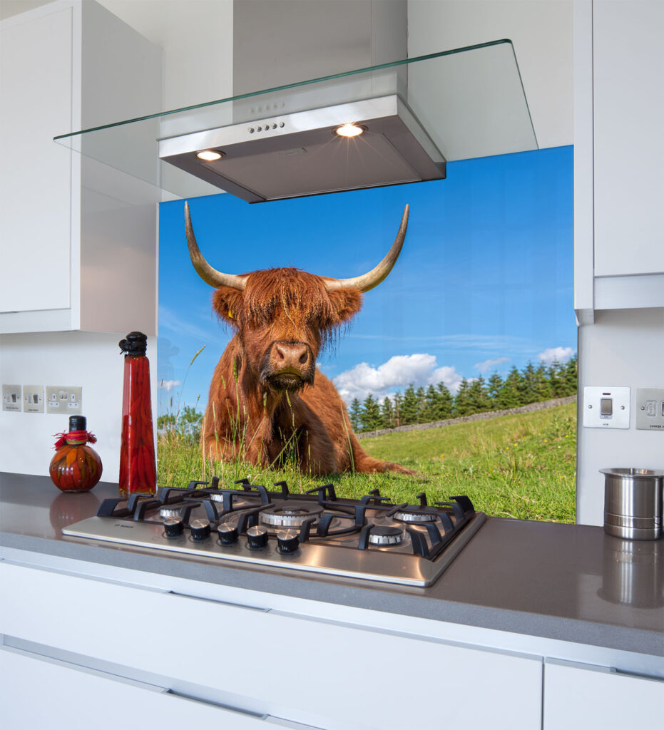 Animal Printed Glass Splashbacks